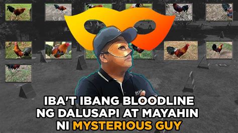 dalusapi|IBA'T IBANG BLOODLINE NG DALUSAPI AT .